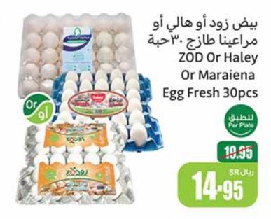 ZOD Or Haley Or Maraiena Egg Fresh 30pcs