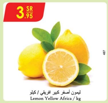 Lemon Big / kg