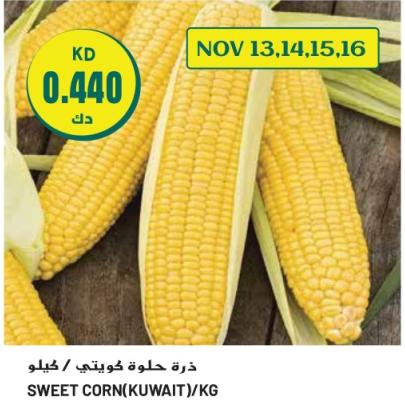 SWEET CORN(KUWAIT)/KG