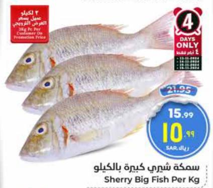 Sherry Big Fish Per Kg