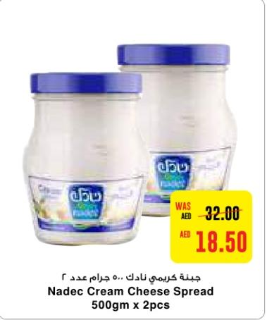 Nadec Cream Cheese Spread 500gm x 2pcs