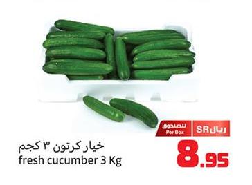 fresh cucumber 3 Kg