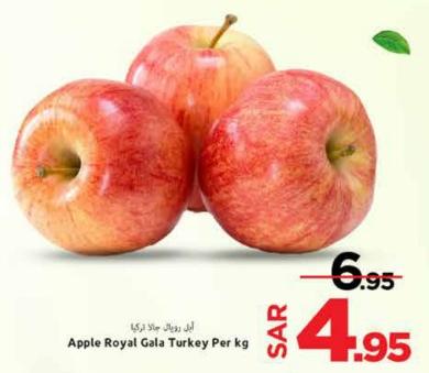 Apple Royal Gala Turkey Per kg