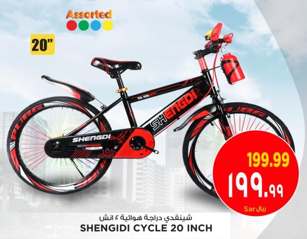 SHENGIDI CYCLE 20 INCH