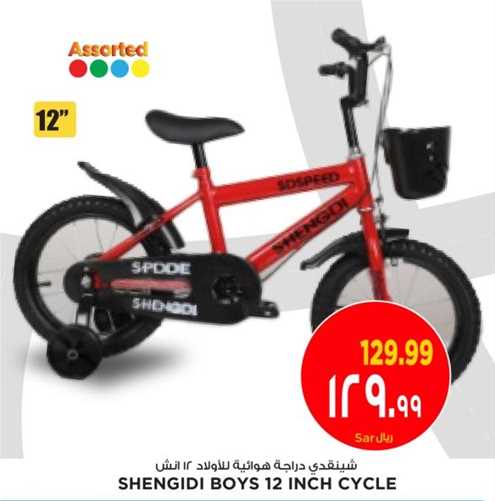 SHENGIDI BOYS 12 INCH CYCLE