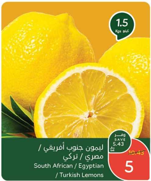 South African / Egyptian / Turkish Lemons