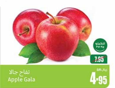 Apple Gala PER KG