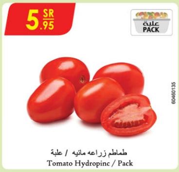 Tomato Hydroponic /Pack