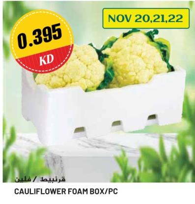 CAULIFLOWER FOAM BOX/PC