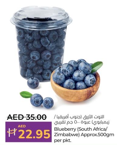 Blueberry (South Africa/Zimbabwe) Approx.500gm per pkt.