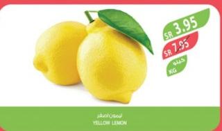 YELLOW LEMON