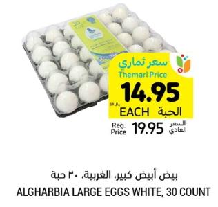 ALGHARBIA LARGE EGGS WHITE, 30 COUNT