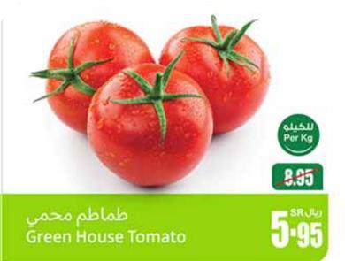 Green House Tomato per kg