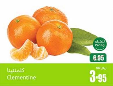 Clementine per kg