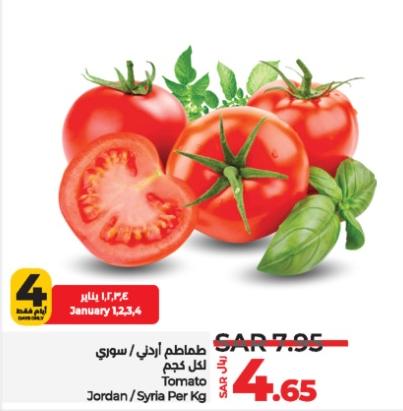 Tomato Jordan /Syria Per Kg