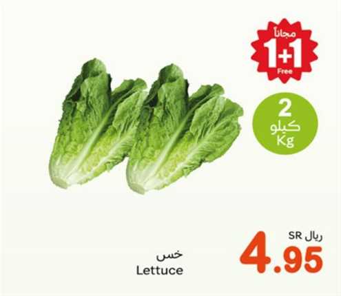 Lettuce 2 kg