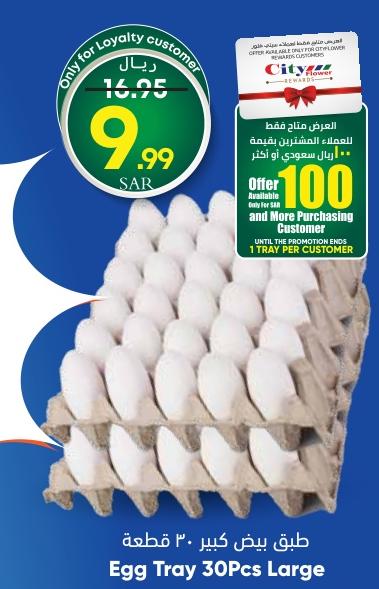 Egg Tray 30 pcs Large 