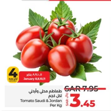 Tomato Saudi & Jordan Per Kg