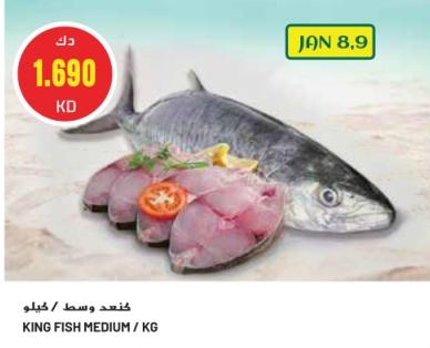 KING FISH MEDIUM / KG