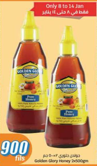 Golden Glory Honey 2x500 gm