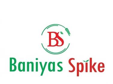 Baniyas Spike